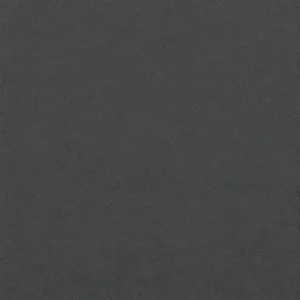 Anthracite Gris Sable