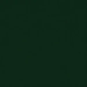 Vert Foncé