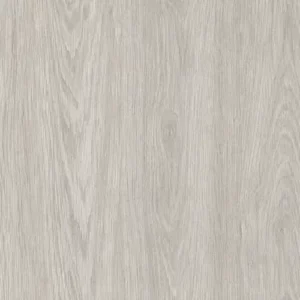 Scheffield Oak alpine